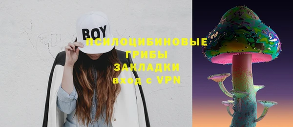 ECSTASY Дмитриев