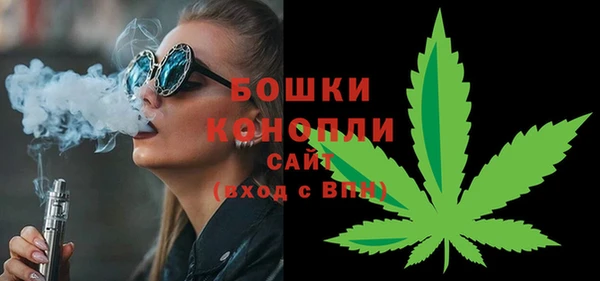 ПСИЛОЦИБИНОВЫЕ ГРИБЫ Дмитров