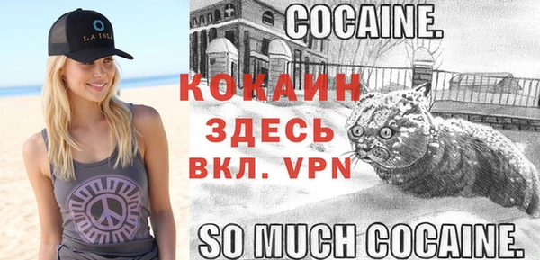 ПСИЛОЦИБИНОВЫЕ ГРИБЫ Дмитров