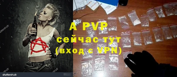 ПСИЛОЦИБИНОВЫЕ ГРИБЫ Дмитров