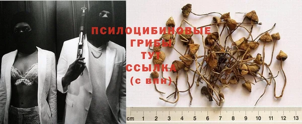 дживик Дмитровск