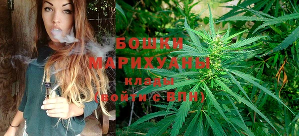 дживик Дмитровск