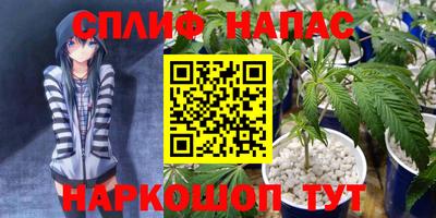 шишки Обнинск