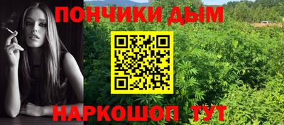 шишки Обнинск