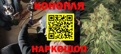 шишки Обнинск