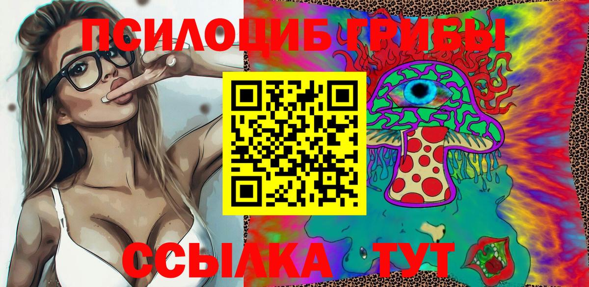 Миасс  хочу   Вход с VPN  Псилоцибиновые грибы MAGIC MUSHROOMS 