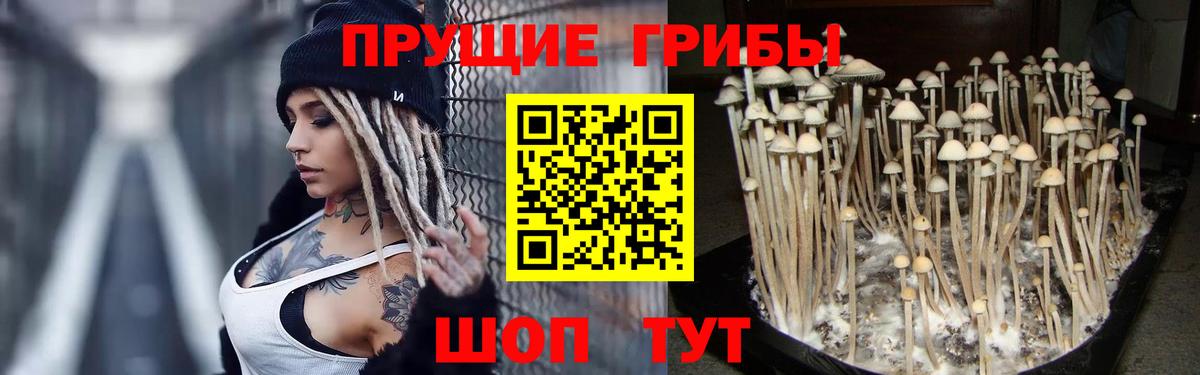 Галлюциногенные грибы Psilocybe  Вход с VPN  Миасс 